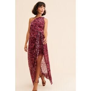 BTFL-LIFE Dress Womens SZ Small Viola Devore One Shoulder Velvet Anthropologie